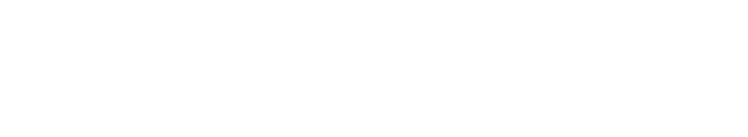 41241